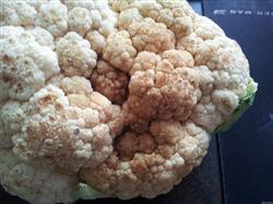 What causes the quality deterioration of summer cauliflower?