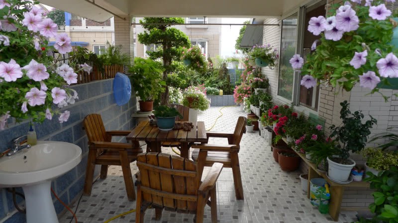 88's rooftop garden netizens who have worked hard for three years: a cool place in summer