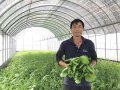 In the name of the son! New Taipei Organic fresh Force-Mili Farm