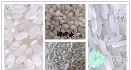 Cold knowledge: japonica rice, purple rice, fragrant rice, rice, millet. The article explains all kinds of rice clearly.