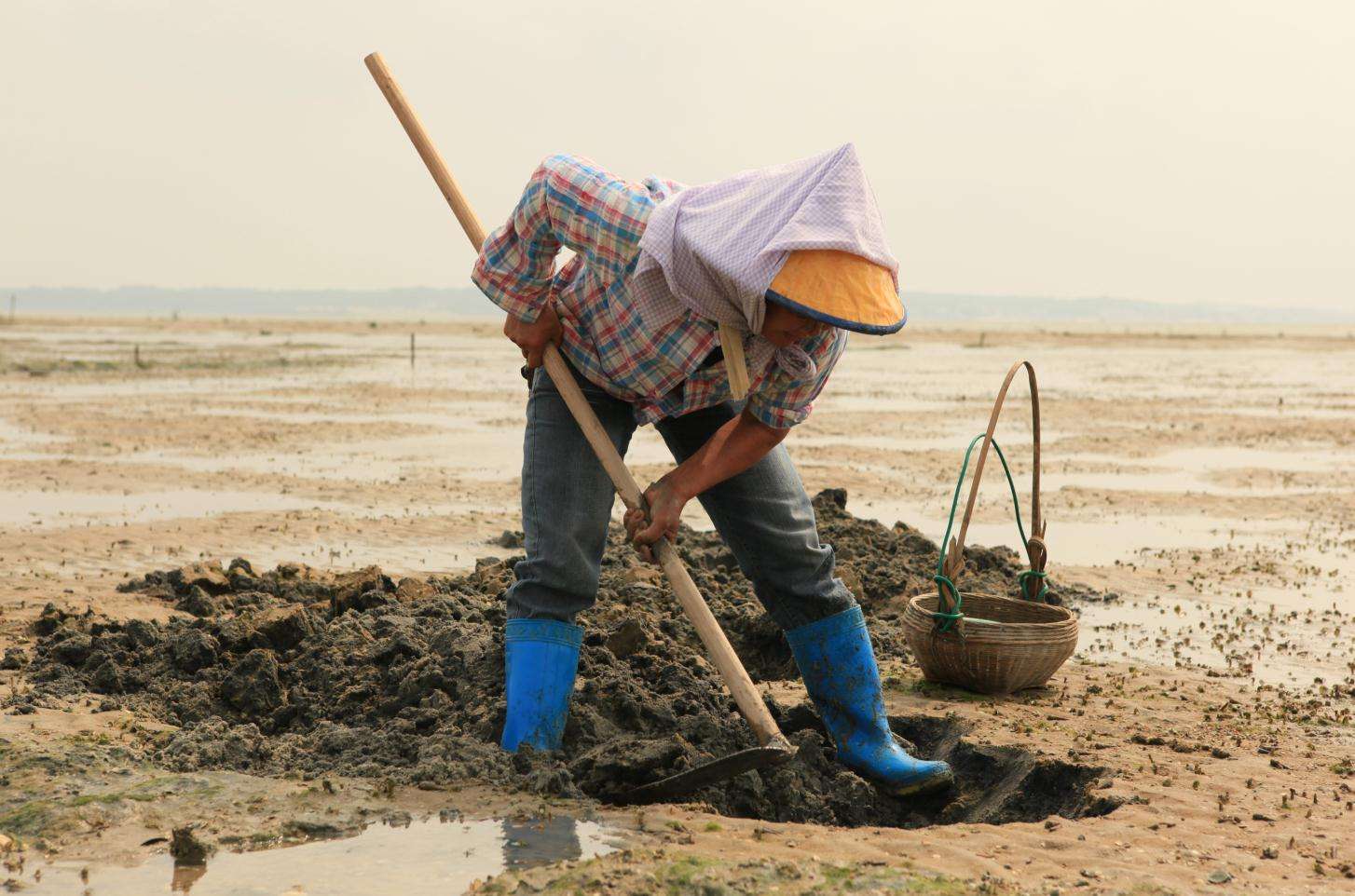 The game in the mud puddle is shaped like an intestine to make jelly is delicious, but some people find it disgusting.