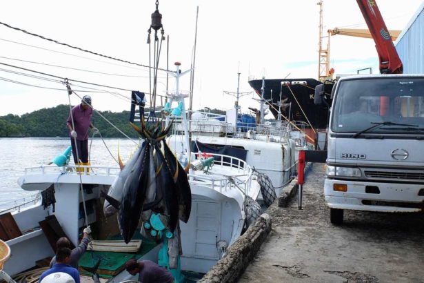Late delivery of fish unloading forecast will be fined 1.3 million yuan a day? Fisheries Department: has been persuaded for four consecutive years