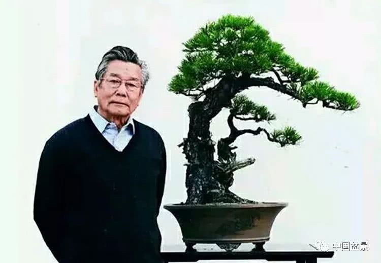 Master Hu Leguo will always live in the heart of bonsai people.