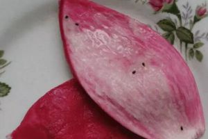 Anti-aging, lowering blood pressure, making flower fertilizer…This fruit peel actually has so many effects!