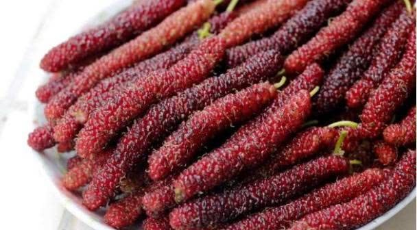 The long fruit mulberry tastes sweet and the length is longer than the palm.