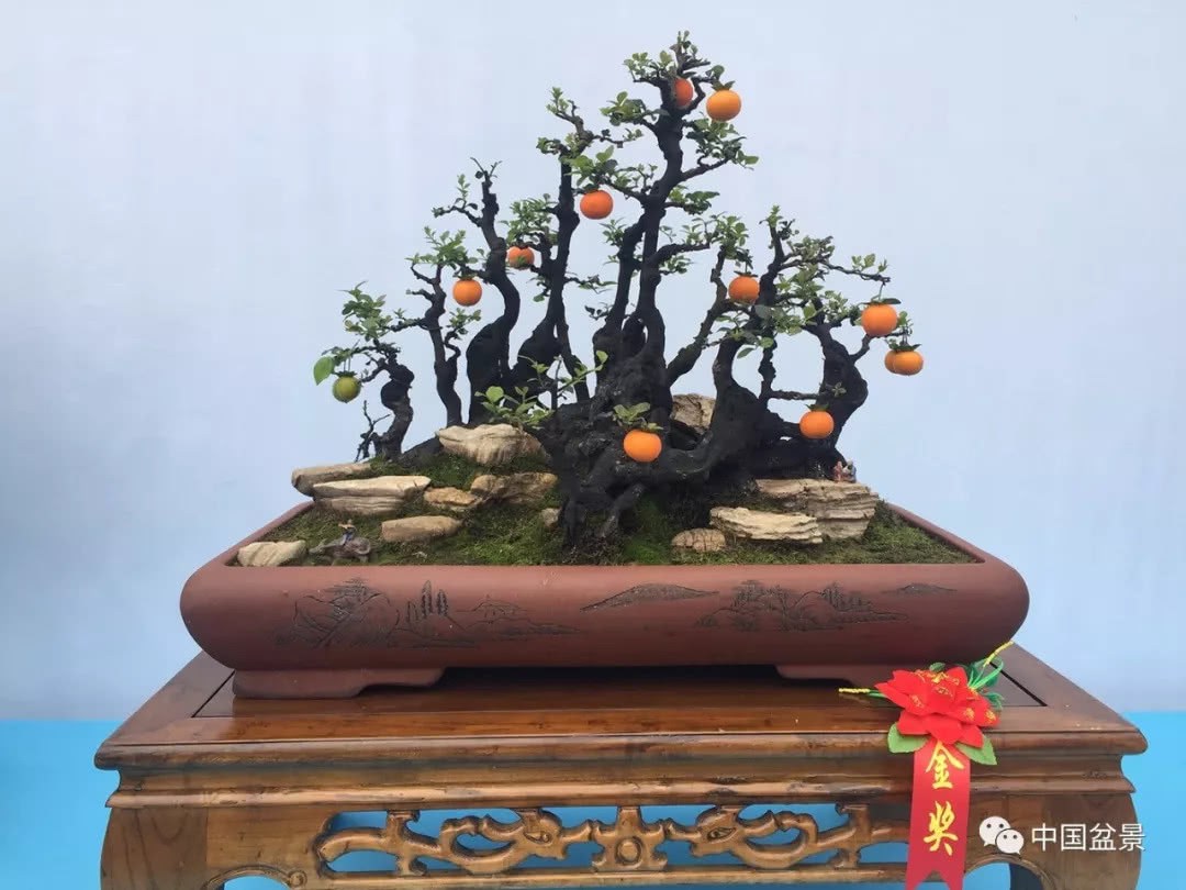 Enjoy bonsai and sing poems to reunite love during the Mid-Autumn Festival