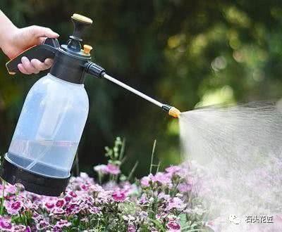 Is it good to grow flowers in autumn and water them in the morning? It's safest for an old florist to teach you to water it this way.