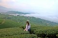 Walk with God, the secret of the tea country is in Chiayi