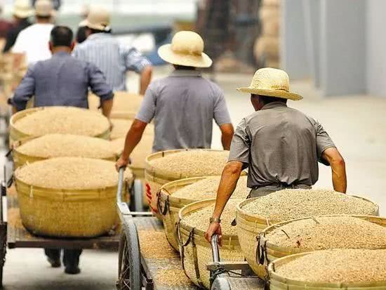 The latest rice purchase notice to grain farmers to come quickly.