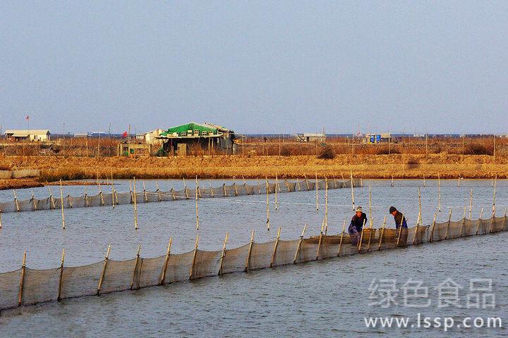 Key points of fish pond management before and after typhoon resisting improper fish and easy to die