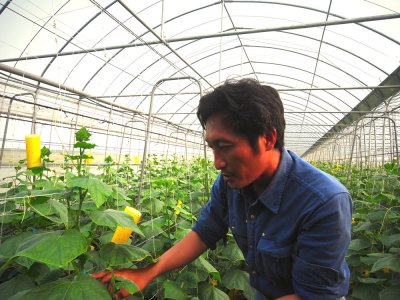 Ironworkers become farmers insist on friendly farming