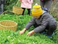 The evaluation of leisure agricultural area in Miaoli County in 107 won 2 excellent achievements.