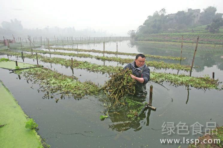 Methods and measures for prevention and control of fish diseases are more important than prevention of fish diseases.