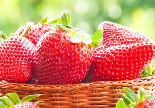 How long does it take to grow strawberries on the balcony?