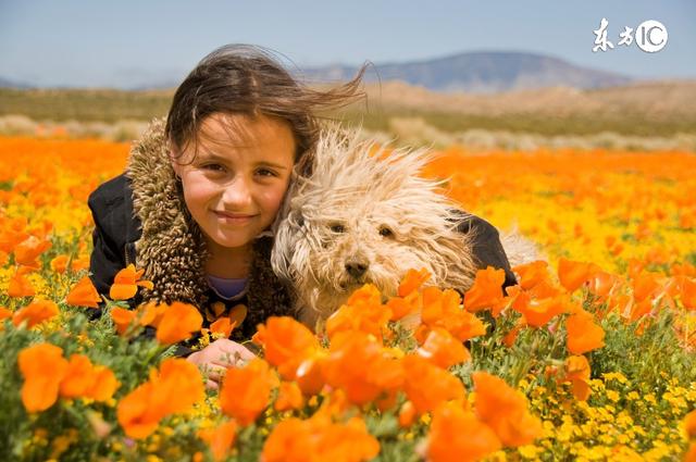 When the flower and seedling industry meets rural aesthetics