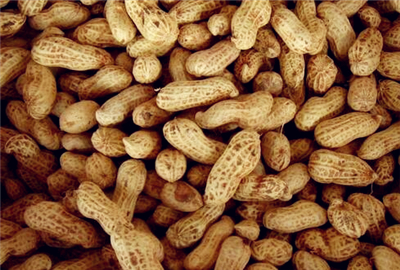 Peanut price forecast in 2017: will prices rise next year?