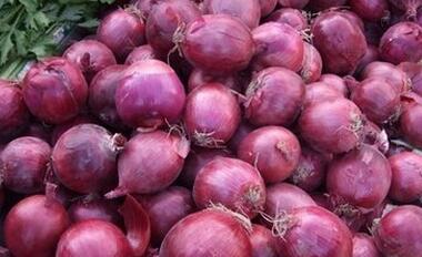 It is predicted that the price of onion in Gansu will be reversed in 2017.