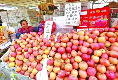 It is difficult to make money by growing apples: the price of apples is falling due to the oversupply of apples this winter.
