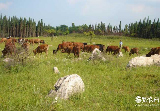 What is ecological breeding?