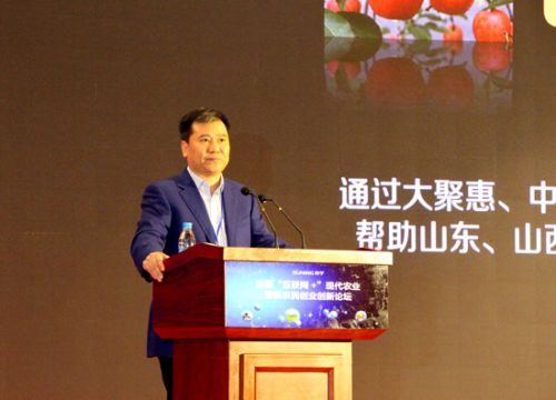 Zhang Jin: rural e-commerce is a gold mine in the era of 