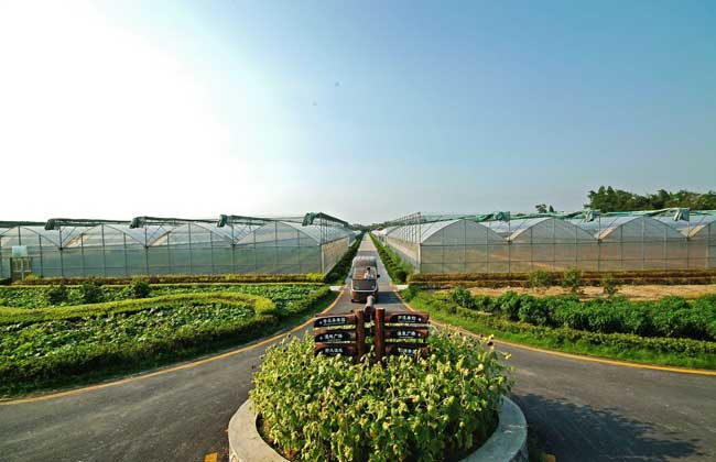 Development Prospect of Ecological Agriculture