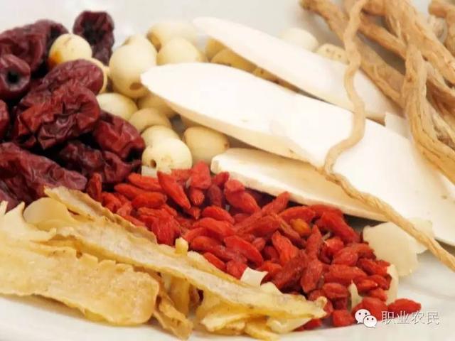 Chinese herbal medicines are prone to insects, so there are key points in how to reduce losses and learn to store them.