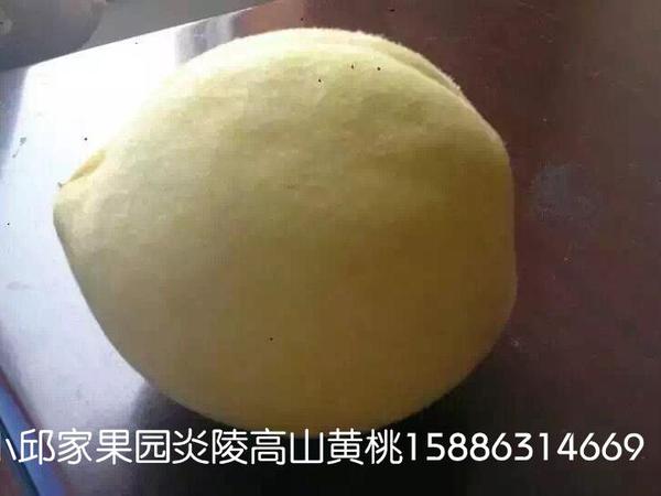 Yanling alpine yellow peach to give you the sweetest taste, I have used up the power of flood and famine.