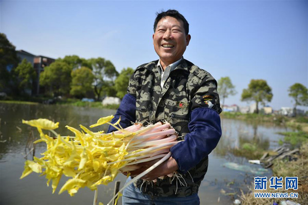 Hu Guohua, the inventor of vegetables: dig out the road to wealth in the soil