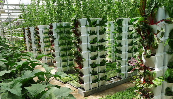 Internet of things grafting Agriculture: a technological Revolution in the Field