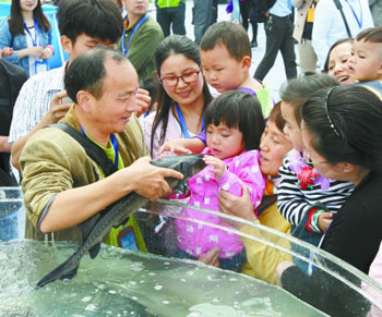 Artificial breeding of Chinese Sturgeon Gezhouba spawning Tianchi