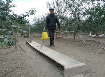 Jiakeqing, an old man in Yili, grew a big name under the forest.