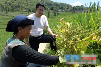 The planting of field marginal soybean in Ganluo County is a success.