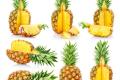 [benefits of eating pineapples] how about eating pineapples?