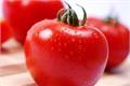 How to eat tomatoes to lose weight