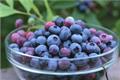 How to wash attractive blueberries to make them healthier?