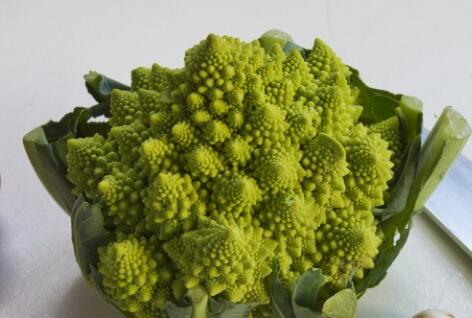 How much is a jin of colorful cauliflower that is popular in Europe and America? How is the planting benefit?