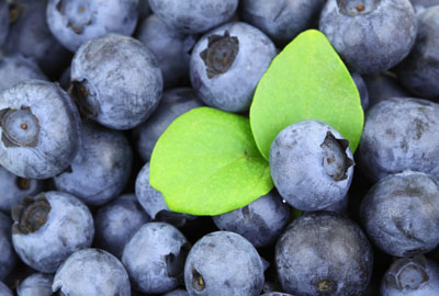 Where is the right place to grow blueberries and what is the benefit?