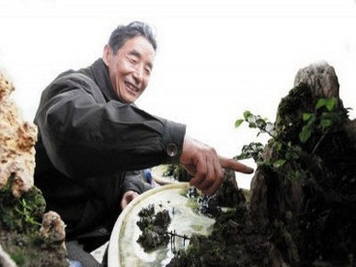 Bonsai creation: seek simplicity in complexity and apply art in accordance with their aptitude.