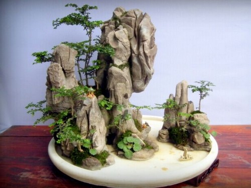 The style, layout and styling characteristics of Sichuan style Bonsai Art