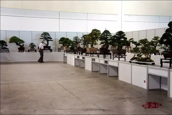 Su Pai Bonsai Biennale