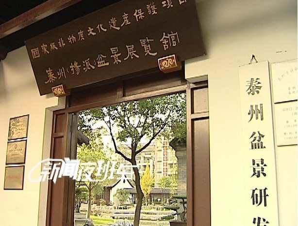 Nearly 1000 works are displayed in Taizhou Yangpai Bonsai Exhibition Hall.