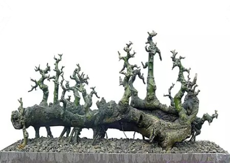 Truncation and Branch accumulation and Branch trend treatment of Lingnan Bonsai