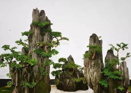 Sichuan style bonsai art style