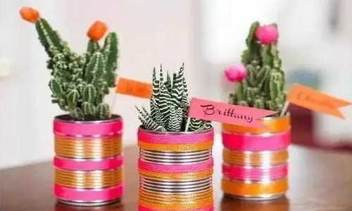 Small potted plants Creative DIY hand-made pot plants
