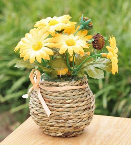 The symbolic meaning and language of Flower language Daquan Chrysanthemum