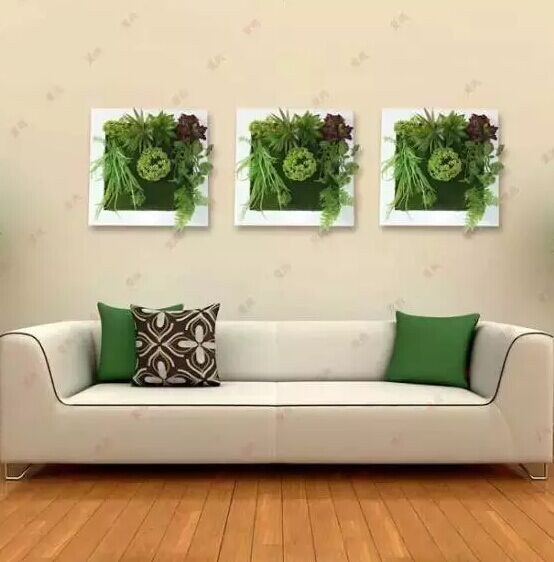 Bonsai DIV making Picture and text course simple Creative small Wall-hanging plants