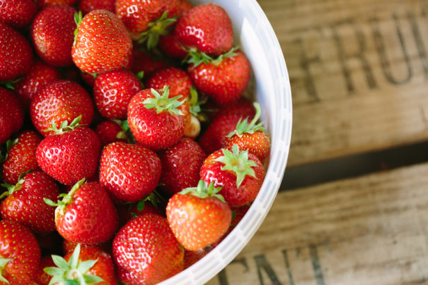 English small farmer / summer. Sweet strawberries