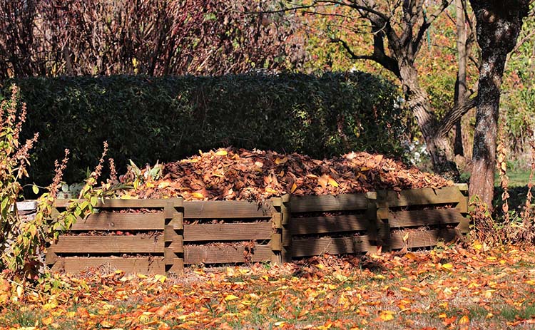 How to make rotten leaf soil by family