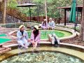 Warm heart in autumn and winter to the four hot springs in Taichung