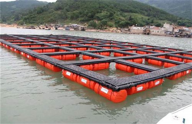 Common ways of fish culture in cages